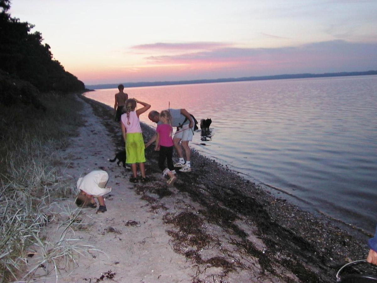 Stutteri Ahl Near Beach And Town Ебелтофт Екстериор снимка