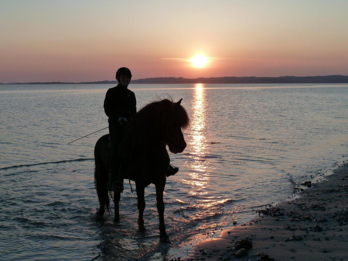 Stutteri Ahl Near Beach And Town Ебелтофт Екстериор снимка